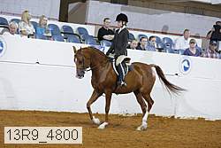 13r9_4800 proof