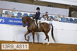 13r9_4811 proof