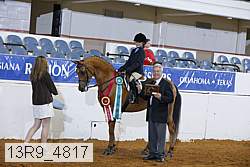 13r9_4817 proof