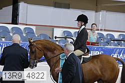 13r9_4822 proof