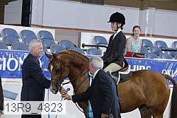 13r9_4823 proof