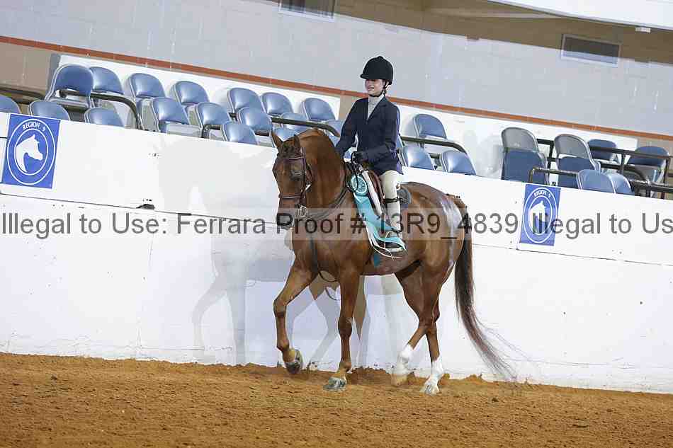 Proof 13r9_4839