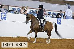 13r9_4865 proof
