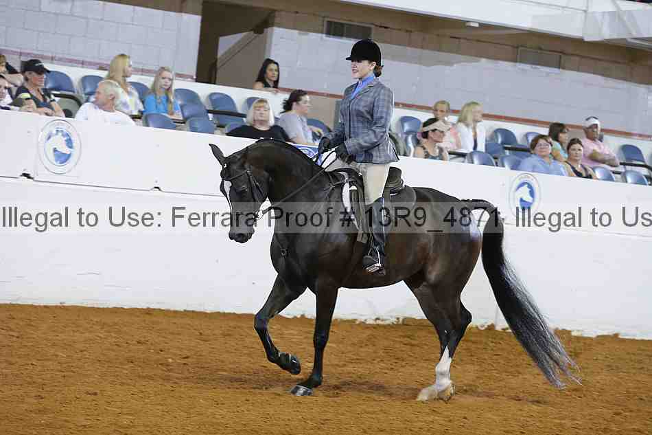 Proof 13r9_4871