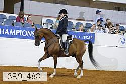 13r9_4881 proof
