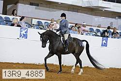 13r9_4885 proof