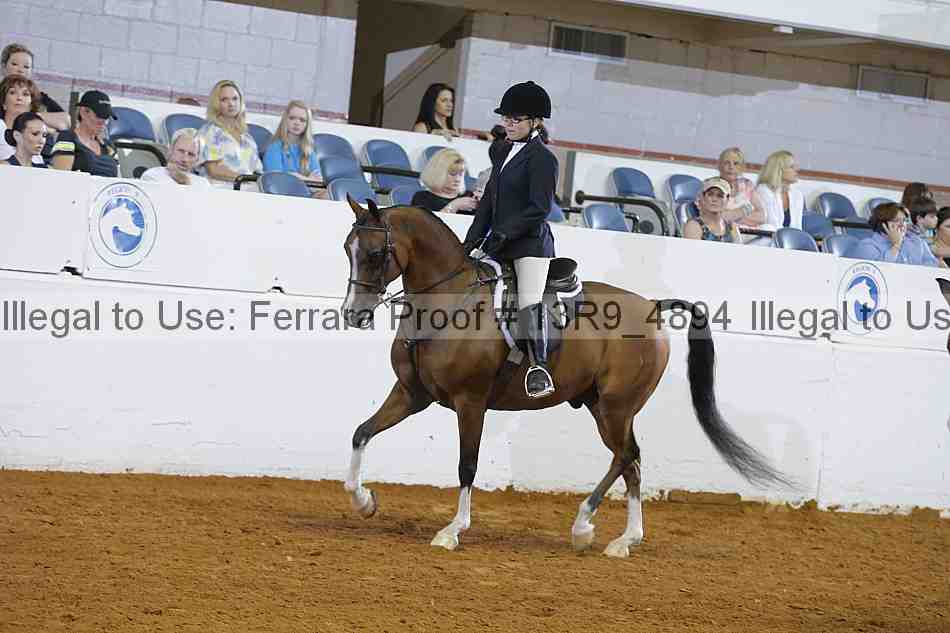 Proof 13r9_4894