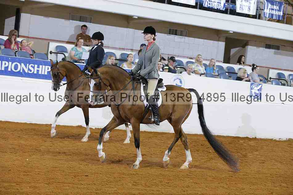 Proof 13r9_4895