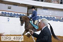 13r9_4899 proof