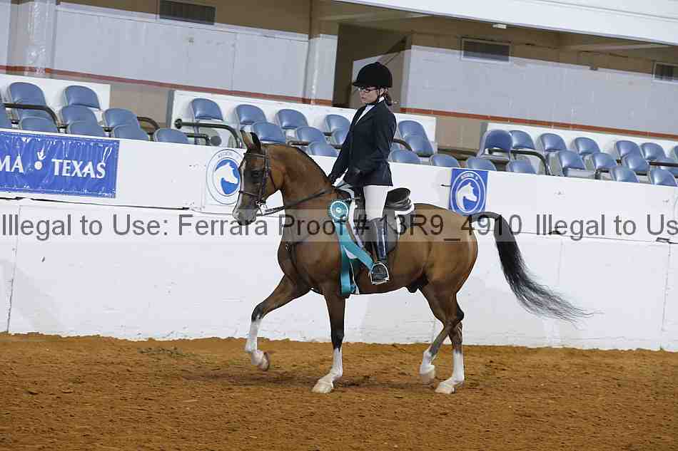 Proof 13r9_4910