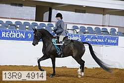 13r9_4914 proof