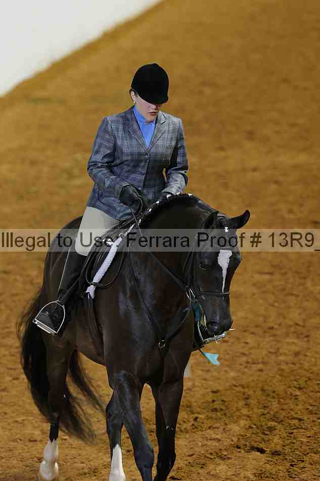 Proof 13r9_4916
