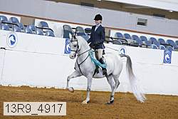 13r9_4917 proof
