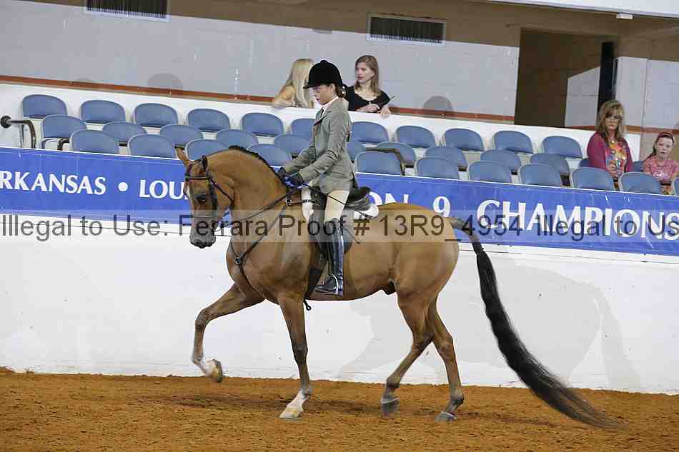 Proof 13r9_4954