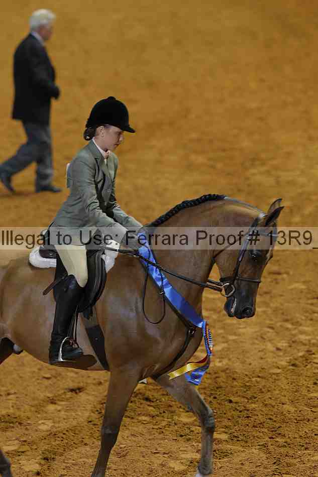 Proof 13r9_4976