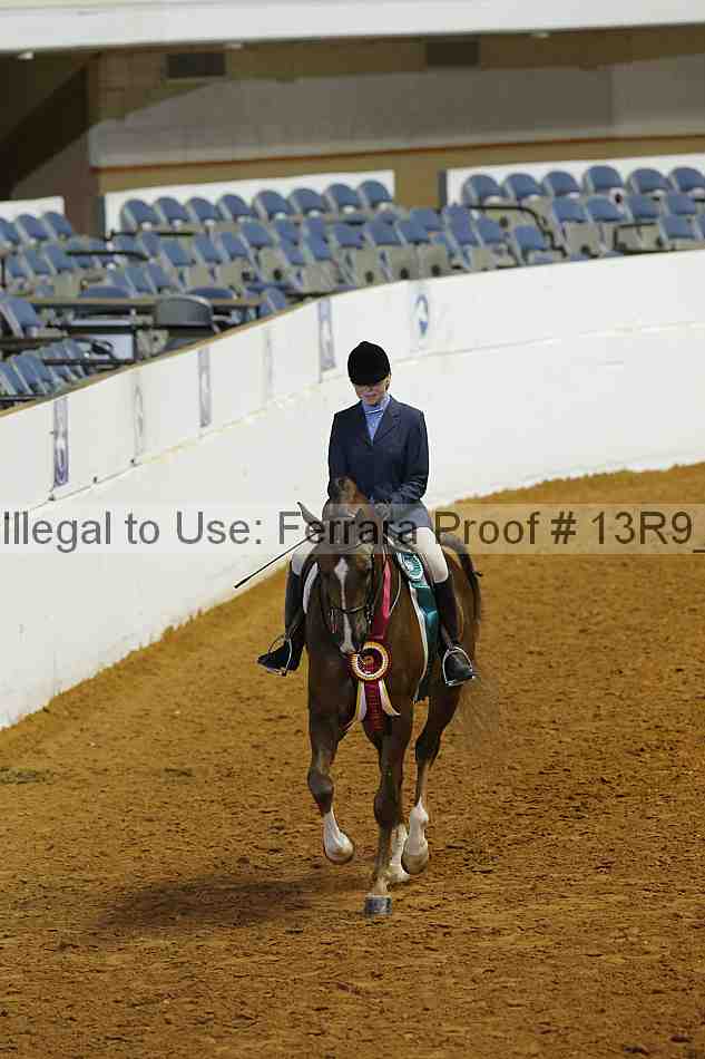 Proof 13r9_4991