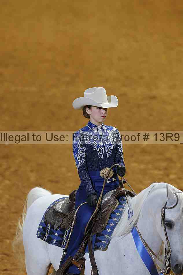 Proof 13r9_5027
