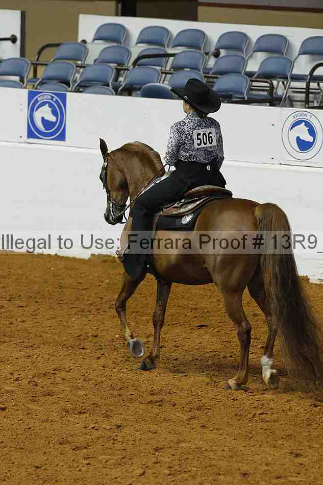 Proof 13r9_5029