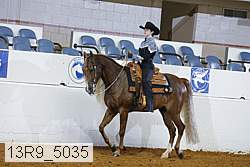 13r9_5035 proof
