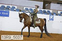 13r9_5037 proof