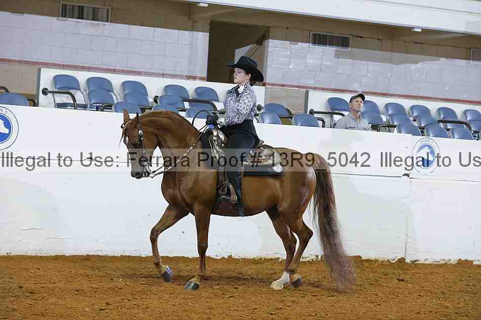 Proof 13r9_5042