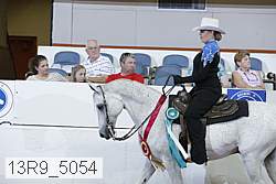 13r9_5054 proof