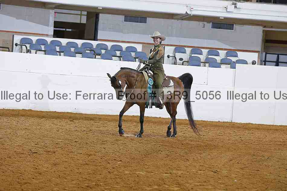 Proof 13r9_5056