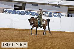 13r9_5056 proof