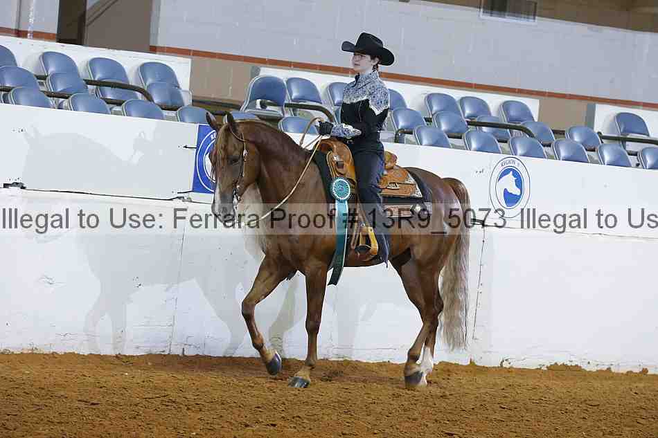 Proof 13r9_5073