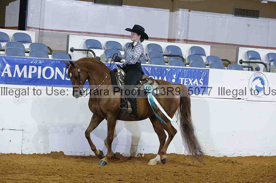 Proof 13r9_5077