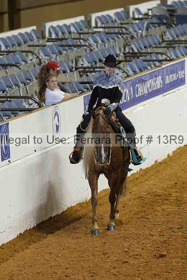 Proof 13r9_5078