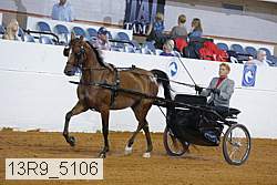 13r9_5106 proof