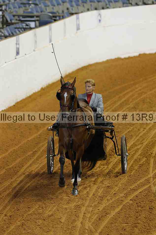 Proof 13r9_5111