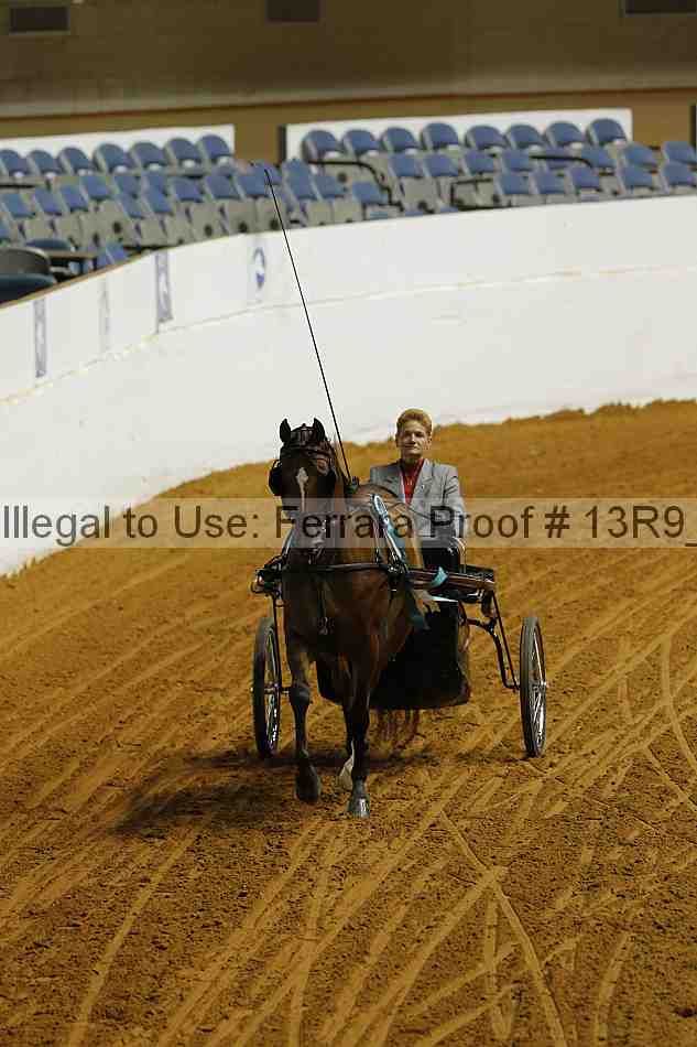 Proof 13r9_5113