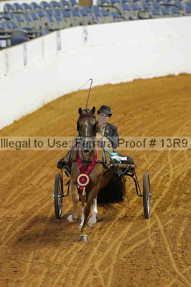 Proof 13r9_5115
