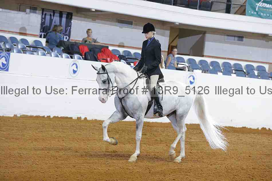 Proof 13r9_5126