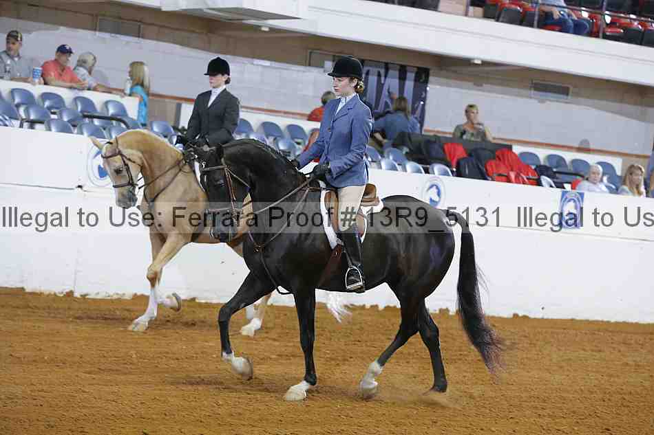 Proof 13r9_5131