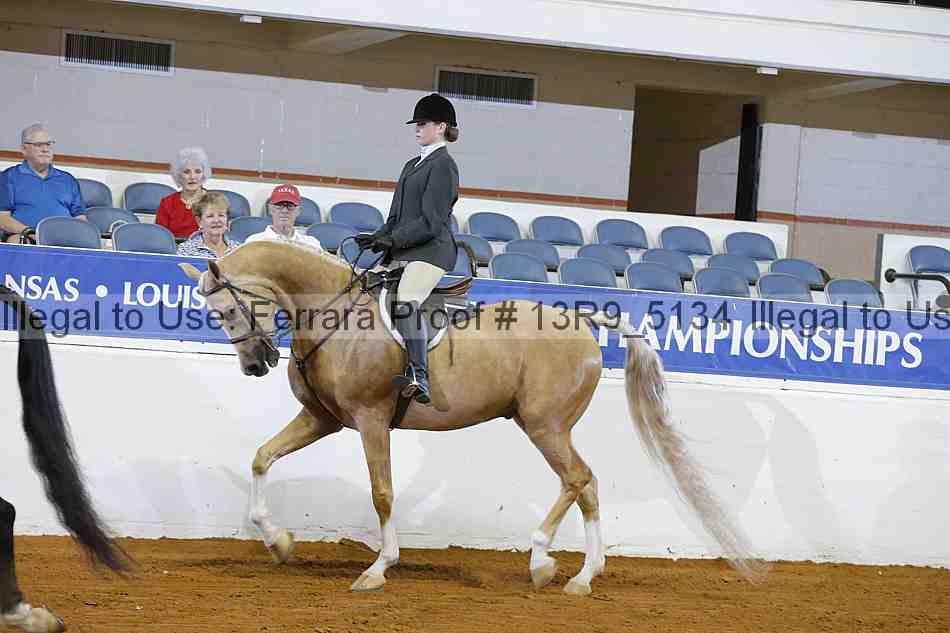 Proof 13r9_5134