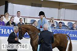 13r9_5146 proof