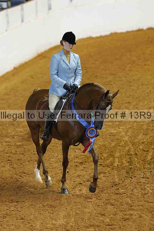 Proof 13r9_5151