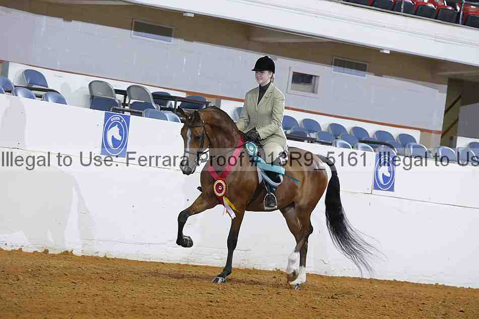 Proof 13r9_5161