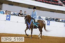13r9_5166 proof