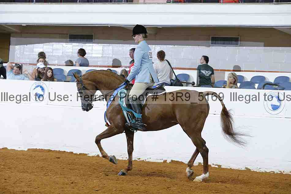 Proof 13r9_5169