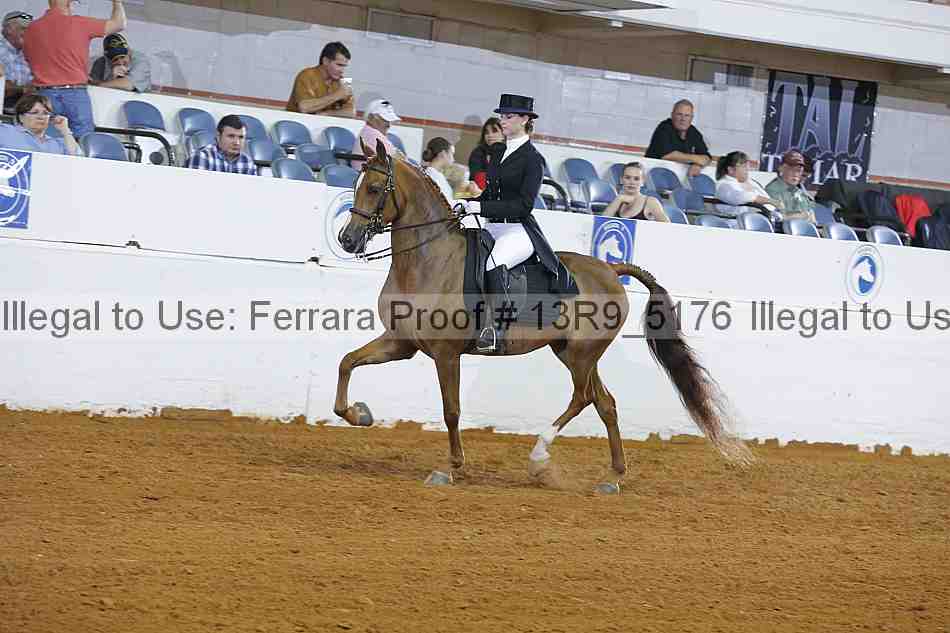 Proof 13r9_5176