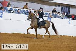 13r9_5176 proof