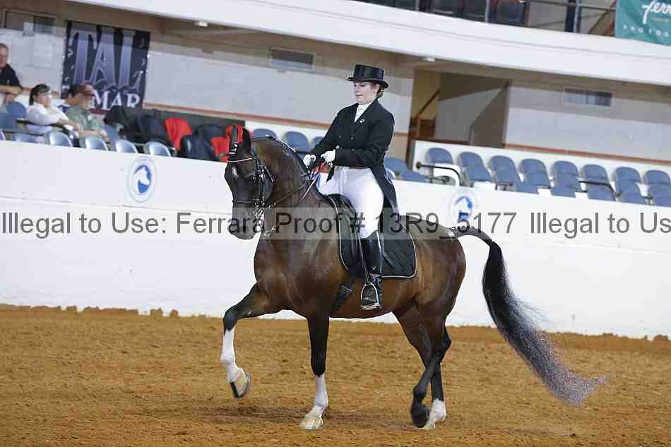 Proof 13r9_5177