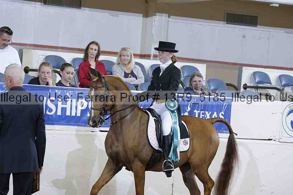 Proof 13r9_5185