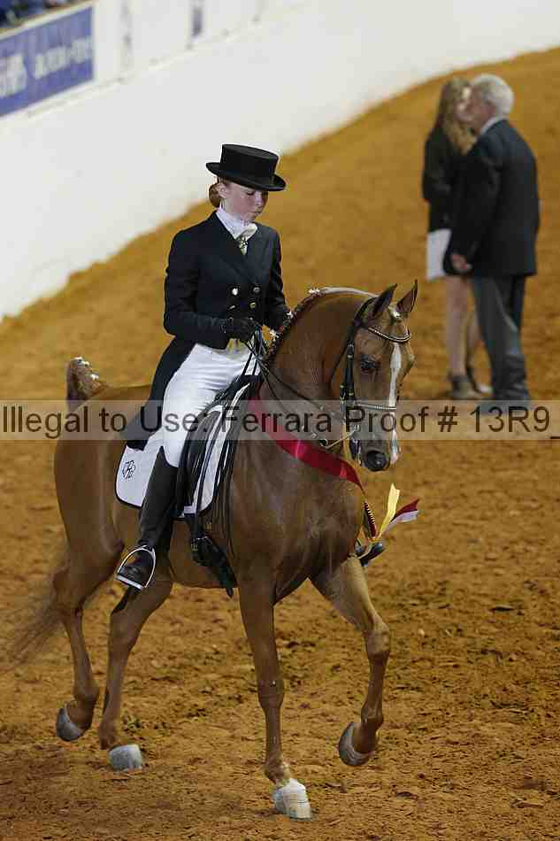 Proof 13r9_5188