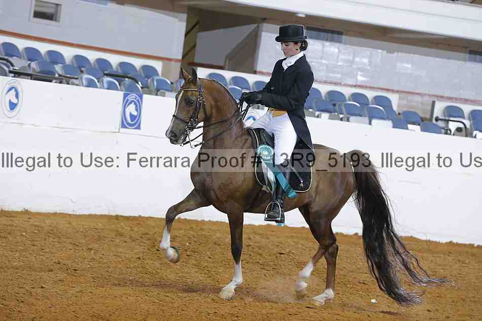 Proof 13r9_5193