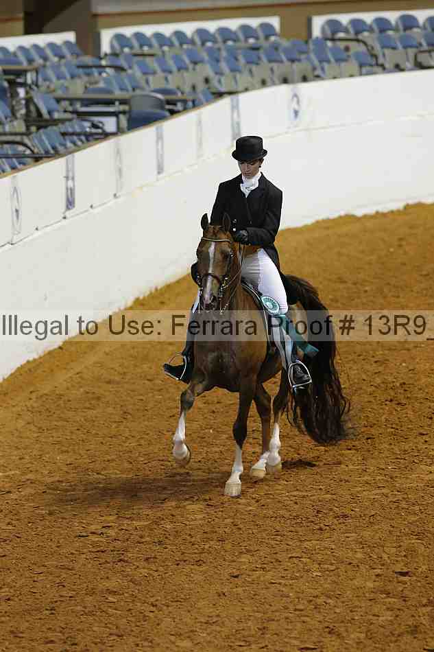 Proof 13r9_5195